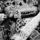 Small_rausch