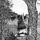 Small_sberemski