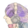 Small_selffish