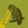 Small_systs