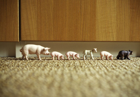 Homepage_1012