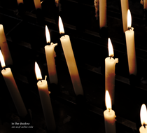 Small_1173