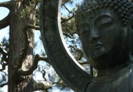 Homepage_1193