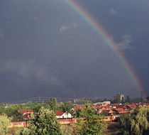 Small_1215