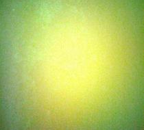 Small_1291
