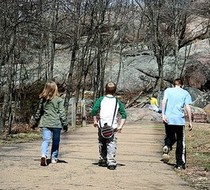 Small_1329