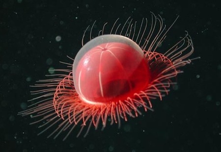 Homepage_1602