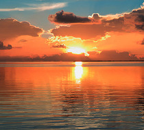 Small_1639
