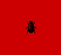 Small_1644