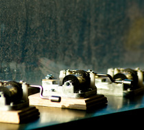 Small_1841