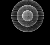 Small_2229