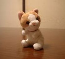 Small_2261