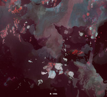 Small_2306