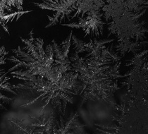 Small_2315