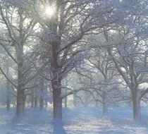 Small_2319
