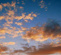 Small_2341