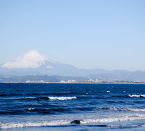 Small_2354