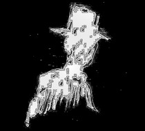 Small_2436