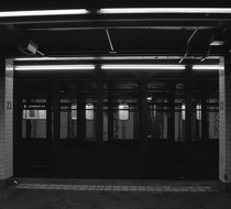 Small_2478
