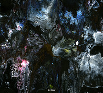 Small_2587