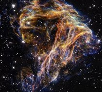 Small_2624