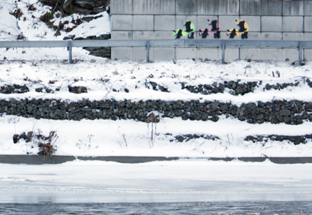 Homepage_2630