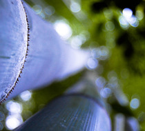 Small_2653