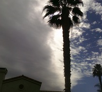Small_2667