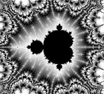 Small_2684
