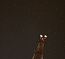Small_2708