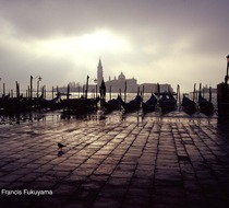 Small_2746