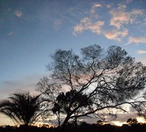 Small_2756