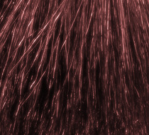 Small_2776