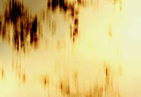 Homepage_2826