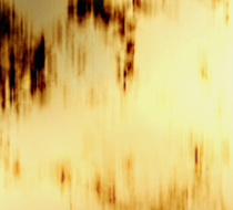 Small_2826