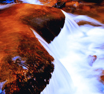 Small_2890