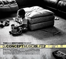 Small_293