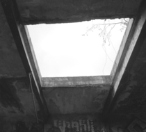 Small_2966