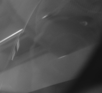 Small_2969