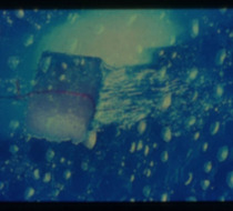 Small_2979