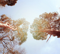 Small_3048