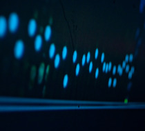 Small_3107