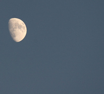 Small_3134