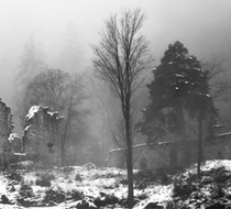Small_3168
