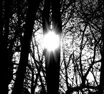 Small_3208