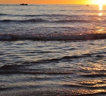 Small_3302