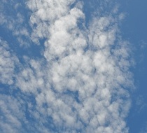 Small_3388