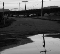 Small_3717