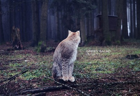 Homepage_3746