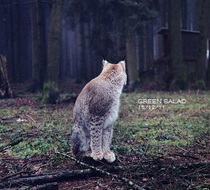 Small_3746